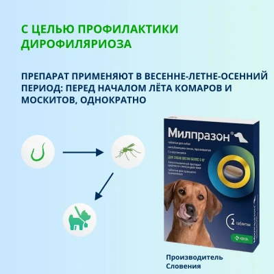 Милпразон (KRKA) 12,5/125мг 2таб. антигельминтик для собак свыше 5кг, 1таб./5-25кг (ЛИЦЕНЗИЯ) фото Милпразон (KRKA) 12,5/125мг 2таб. антигельминтик для собак свыше 5кг, 1таб./5-25кг (ЛИЦЕНЗИЯ) фото