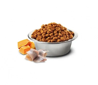 Farmina (Фармина) N&D Dog Ocean 2,5кг треска, апельсин и тыква сухой для взрослых собак медиум и макси (036551) фото