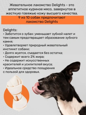 Косточка (8in1) Delights S жевательная с курицей для мелких и средних собак, 11см, 35гр (2403) фото Косточка (8in1) Delights S жевательная с курицей для мелких и средних собак, 11см, 35гр (2403) фото