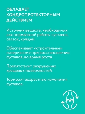 VEDA My Totem FLEXAVIT для суставов для собак, 200 г фото