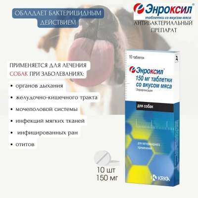 Энроксил (KRKA) 150мг противомикробный препарат (со вкусом мяса), 10табл. (ЛИЦЕНЗИЯ) Энроксил (KRKA) 150мг противомикробный препарат (со вкусом мяса), 10табл. (ЛИЦЕНЗИЯ) фото
