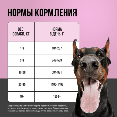 Bowl Wow 0,34кг индейка с тыквой для собак (662716) фото