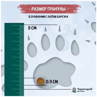 ТерриториЯ Кавказ 2,5кг индейка с брусникой сухой для щенков средних и крупных пород (560162) фото