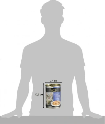 Edel Сat 0,4кг лосось, форель нежные кусочки в соусе для кошек (173053) фото