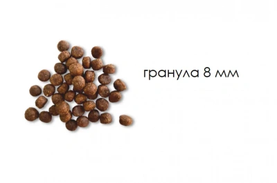 Секрет (Secret) Life Force  2кг сухой индейка и рис для котят (25106) фото