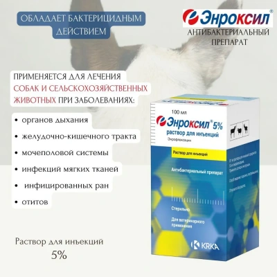 Энроксил (KRKA) р-р 5% противомикробный, для инъекций, 100мл (ЛИЦЕНЗИЯ) Энроксил (KRKA) р-р 5% противомикробный, для инъекций, 100мл (ЛИЦЕНЗИЯ) фото