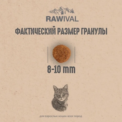 RAWIVAL North Sea’s Finest лосось и сельдь для взрослых кошек, 5 кг фото