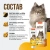 Unitabs 0,12л витаминная паста BiotinPlus с биотином и таурином для шерсти кошек фото