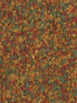 Tetra Min Crisps  Pro 0,25л корм чипсы для рыб фото