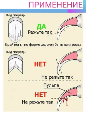 Гриндер (Codos) СР-3300 фото
