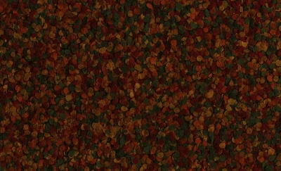 Tetra Min Crisps Sachet 0,012кг корм чипсы для рыб фото