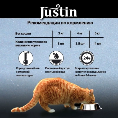 Justin 0,075кг курица с печенью в соусе для кошек пауч фото