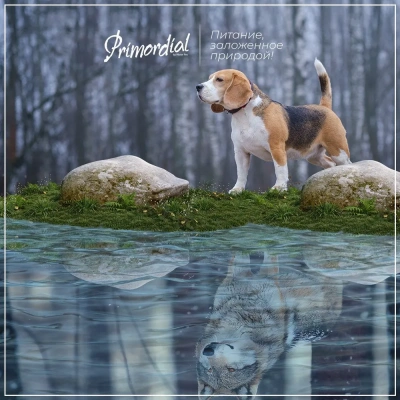 Primordial 2кг форель, утка беззерновой сухой для собак (011027) фото Primordial 2кг форель, утка беззерновой сухой для собак (011027) фото