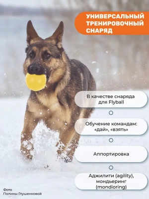 Игрушка (Doglike) Мяч Малый d-6,5см, длина 50-60 см для собак, желтый фото