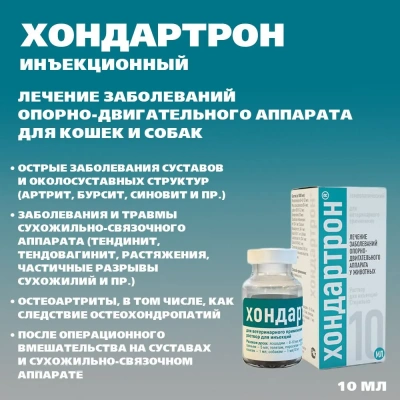 Хондартрон (Хелвет) 10мл заболевания опорно-двигательного аппарата (раствор для инъекций) (ЛИЦЕНЗИЯ) Хондартрон (Хелвет) 10мл заболевания опорно-двигательного аппарата (раствор для инъекций) (ЛИЦЕНЗИЯ) фото