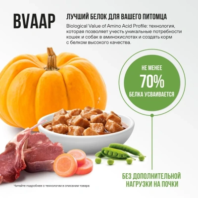 Bowl Wow 0,085кг ягненок и овощи в соусе для котят и беременных кошек (662761) фото