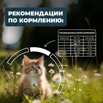 Родные корма 0,085кг с курочкой и потрошками в соусе по-ростовски для котят (831137) NEW фото