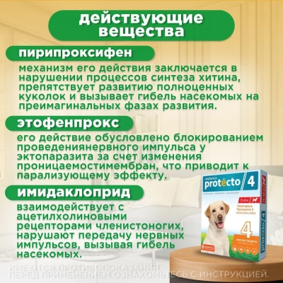 Protecto Neoterica капли для собак и кошек  25-40КГ 2ШТ P304 (ЛИЦЕНЗИЯ)  фото