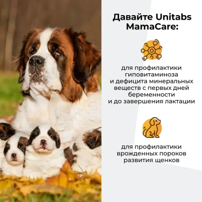 Unitabs 100таб./0,15кг витаминно-минеральная добавка MamaCare для беременных и кормящих собак фото Unitabs 100таб./0,15кг витаминно-минеральная добавка MamaCare для беременных и кормящих собак фото