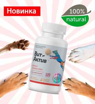 Вит-Актив активная кормовая добавка Вит-Актив С-И формула здоровья 120табл. для собак Вит-Актив активная кормовая добавка Вит-Актив С-И формула здоровья 120табл. для собак фото