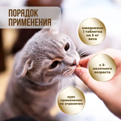 Unitabs 100таб./0,075кг витаминно-минеральная добавка Prebiotic для кошек и собак фото Unitabs 100таб./0,075кг витаминно-минеральная добавка Prebiotic для кошек и собак фото