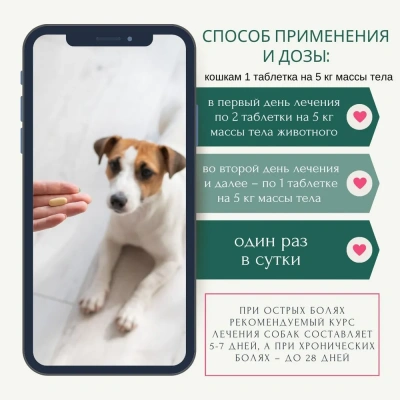 Петкам Табс Invesa (Livisto) таблетки 0,5мг (10таб в уп) (ЛИЦЕНЗИЯ) фото