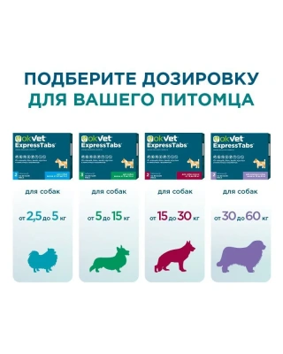 Оквет ЭкспрессТабс табл. от клещей, блох, вшей и гельминтов для собак от  2,5 кг до 5 кг (ЛИЦЕНЗИЯ) фото