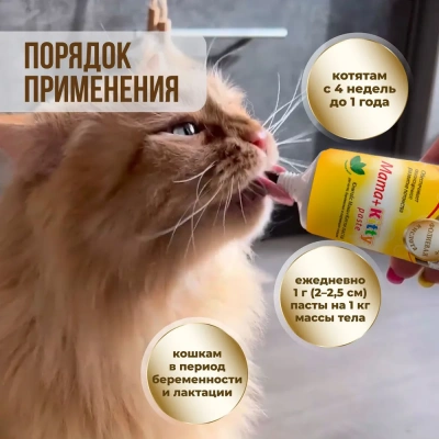 Unitabs 0,12л витаминная паста Mama+Kitty для котят с 4х недель, беременным и кормящим кошек фото Unitabs 0,12л витаминная паста Mama+Kitty для котят с 4х недель, беременным и кормящим кошек фото