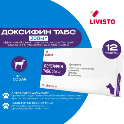 Доксифин Invesa (Livisto) 200мг 12таб (ЛИЦЕНЗИЯ) фото Доксифин Invesa (Livisto) 200мг 12таб (ЛИЦЕНЗИЯ) фото