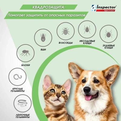 Рабикан Вакцина для собак и кошек 5доз (ЛИЦЕНЗИЯ), купить оптом в Москве,  цена, характеристики, описание - Симбио - ЗооЛэнд