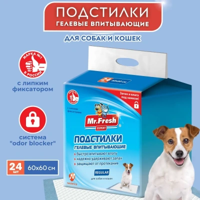 Пеленки (Mr.Fresh) Regular для ежедневного применения (60*60) 24 шт. Пеленки (Mr.Fresh) Regular для ежедневного применения (60*60) 24 шт.