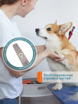 Когтерез-ножницы (DeLIGHT) большой загнутый для кошек 3901/24/ фото