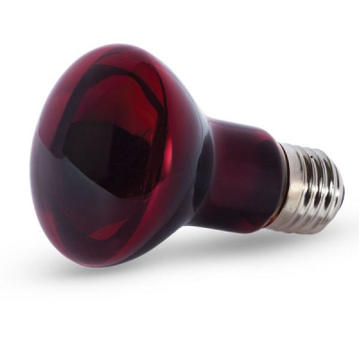 Лампа (Laguna) инфракрасная, 75Вт,  фото