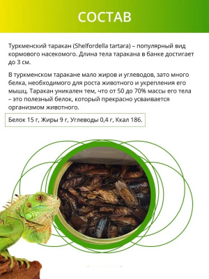 Онто (Onto) 0,04кг Туркменский таракан  консервированный фото
