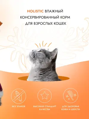 Best Dinner Cat Holistic 0,07кг филе в желе с курицей, тунцом и лососем для кошек (408931) фото