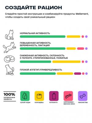 Wellement 0,08кг Тунец жидкий топпинг для кошек фото