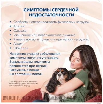 Ветмедин (Merial) S 1,25мг 50таб (ЛИЦЕНЗИЯ) фото