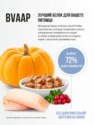 Bowl Wow 0,085кг цыпленок и овощи в соусе для кошек с чувствительным пищеварением (662808) фото