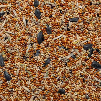 Вака плюс 0,5кг кормовая смесь для мелких и средних  попугаев фото Вака плюс 0,5кг кормовая смесь для мелких и средних  попугаев фото