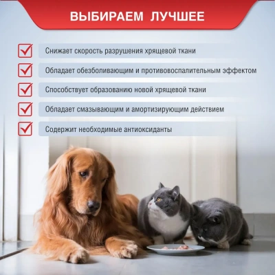 Артрекс Джойнт, 250мл фото