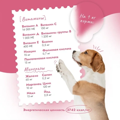 Best Dinner Dog Adult Medium/Maxi 12кг телятина с тыквой сухой для собак крупных и средних пород фото