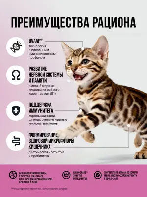 Bowl Wow 0,085кг индейка и брокколи в кусочки в желе для котят и беременных кошек (665120) фото