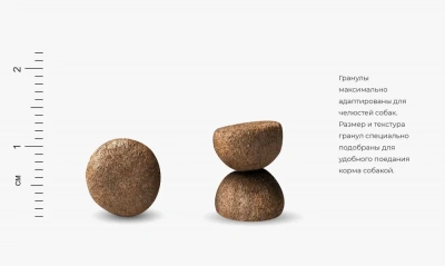 Farmina (Фармина) Fun Dog Lamb 10кг сухой корм для взрослых собак всех пород с ягненком (9204) фото