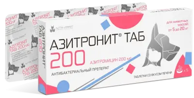 Азитронит ТАБ 200 + блистер 1