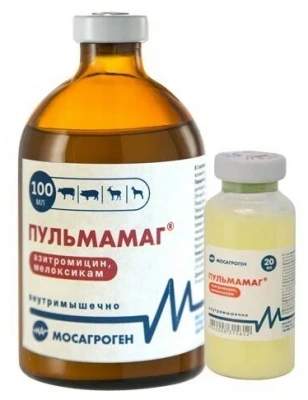 Пульмамаг 100 мл (ЛИЦЕНЗИЯ) Пульмамаг 100 мл (ЛИЦЕНЗИЯ)