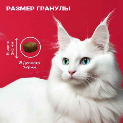 Wellement 5кг корм для взрослых кошек с индейкой фото Wellement 5кг корм для взрослых кошек с индейкой фото