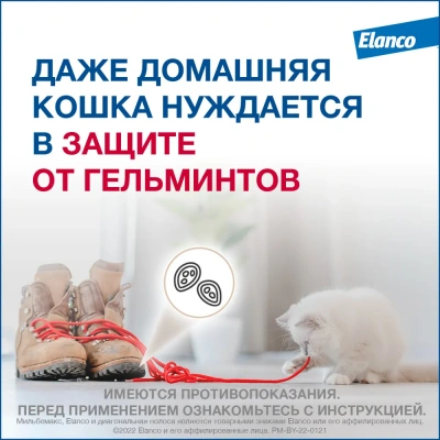 Мильбемакс (Elanco) 2таб. антигельминтик для котят и кошек до 2кг, 1таб./1-2кг. (ЛИЦЕНЗИЯ) фото