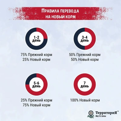 ТерриториЯ Карелия 0,34кг индейка с  уткой рубленое мясо в желе для собак (561794) фото ТерриториЯ Карелия 0,34кг индейка с  уткой рубленое мясо в желе для собак (561794) фото