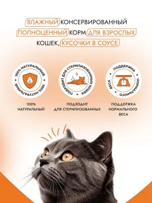 Best Dinner Базис Cat 0,075кг кролик индейка кусочки в соусе для кошек (407880) фото