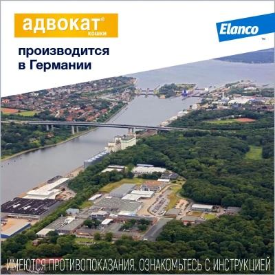 Адвокат капли (3пип х 0,8мл) от чесоточных клещей, блох и гельминтов для кошек более 4кг (ЛИЦЕНЗИЯ) фото Адвокат капли (3пип х 0,8мл) от чесоточных клещей, блох и гельминтов для кошек более 4кг (ЛИЦЕНЗИЯ) фото